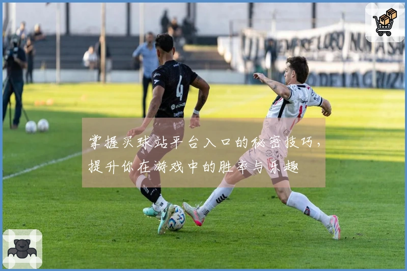掌握买球站平台入口的秘密技巧，提升你在游戏中的胜率与乐趣