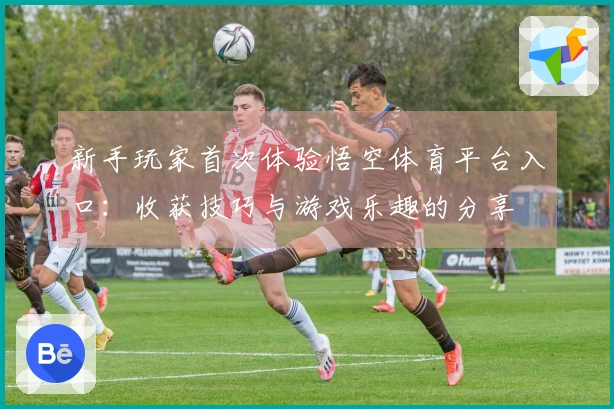 新手玩家首次体验悟空体育平台入口：收获技巧与游戏乐趣的分享