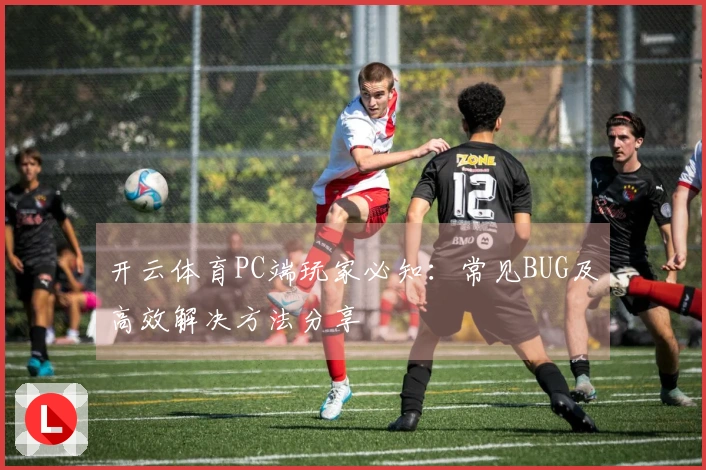 开云体育PC端玩家必知：常见BUG及高效解决方法分享