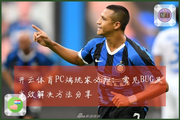 开云体育PC端玩家必知：常见BUG及高效解决方法分享